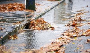 Natural pollutants like leaves and rubbish in drains.