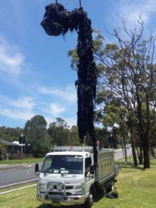 A 7 metre, 750kg “choke” of wet wipes removed by Hunter Water near Newcastle in February 2016
