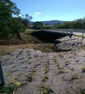 Stream bank restoration at Narira Creek in Cobargo, funded by earlier Community Environment Grants