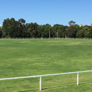 Spraying of Shire sportsgrounds to start soon.
