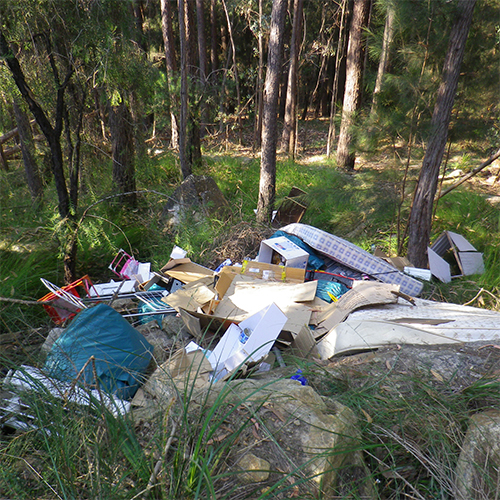 Image of rubbish dumped in the bush.